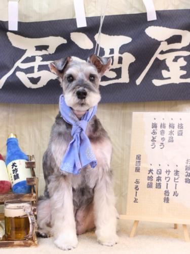 20240615小鉄くん